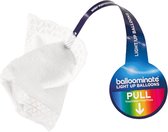 Balloominate Led-verlichtingsmodules Ballonnen 2 Cm Wit 10 Stuks