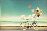 Poster Fiets en Ballonnen