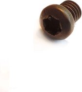 Torx boutje M4 x 4 x 6,2 mm.