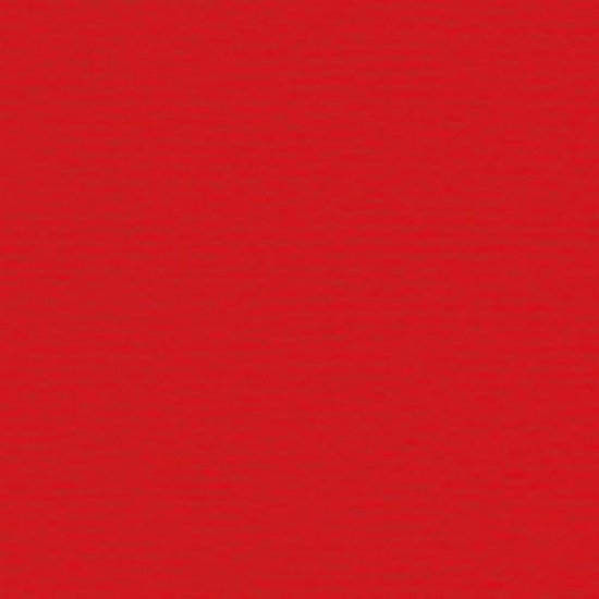 Papicolor Papier A4 rood 105gr-CV 12 vel 300918 - 210x297mm