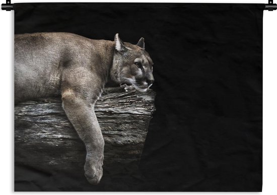 Tapisserie Puma - Un puma posé sur un tronc d'arbre avec fond noir  Tapisserie en coton... | bol.com