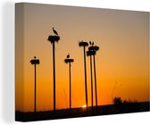 Silhouettes de cigognes et des nids devant un coucher de soleil 120x80 cm - impression photo sur toile (peinture Décoration murale salon / chambre à coucher) / Animaux sauvages Peintures Toile