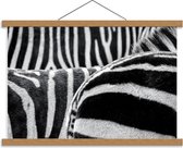 Schoolplaat – Gestreepte Billen van Zebra's - 60x40cm Foto op Textielposter (Wanddecoratie op Schoolplaat)