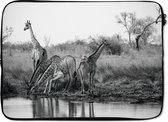 Laptophoes 14 inch - Giraffes drinken uit meer in zwart-wit - Laptop sleeve - Binnenmaat 34x23,5 cm - Zwarte achterkant