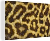 Canvas Schilderij Close-up van luipaard patronen - 90x60 cm - Wanddecoratie