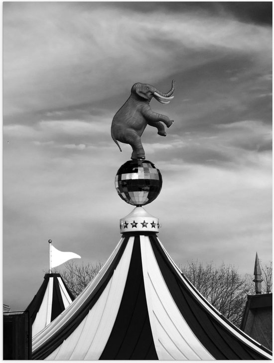 Foto: Poster olifant op circustent zwart wit 30x40cm foto op posterpapier