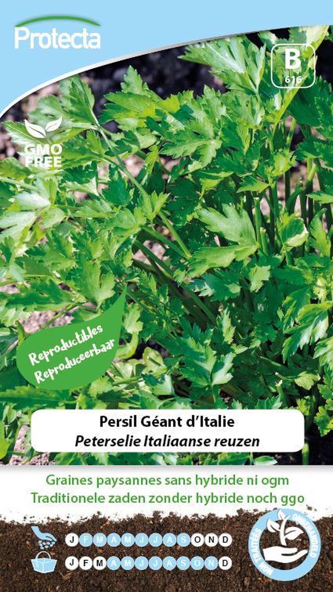 Protecta Groente zaden: Peterselie Italiaanse reuzen
