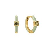 Bright Future - Sage Enamel Gold Huggie hoop earrings gold E028-05G-G