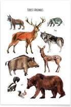 JUNIQE - Poster Forest Animals -20x30 /Bruin & Grijs