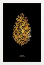 JUNIQE - Poster met houten lijst Pinecone gouden -40x60 /Goud & Zwart