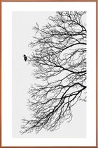 JUNIQE - Poster met kunststof lijst Winter Bird -60x90 /Grijs & Wit