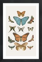 JUNIQE - Poster in houten lijst Vlinders -30x45 /Grijs & Ivoor
