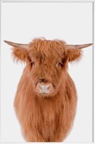 JUNIQE - Poster met kunststof lijst Young Highland Cow -60x90 /Bruin