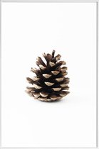 JUNIQE - Poster in kunststof lijst Pinecone N1 -40x60 /Bruin & Wit