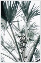 JUNIQE - Poster in kunststof lijst Beach Palm Fruits -20x30 /Grijs &