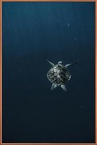 JUNIQE - Poster met kunststof lijst Flying -30x45 /Blauw & Zwart