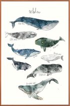 JUNIQE - Poster met kunststof lijst Walvissen illustratie -40x60