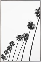 JUNIQE - Poster met kunststof lijst Cali Palms -40x60 /Grijs & Wit