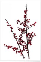 JUNIQE - Poster Red Berries 2 -13x18 /Rood & Wit