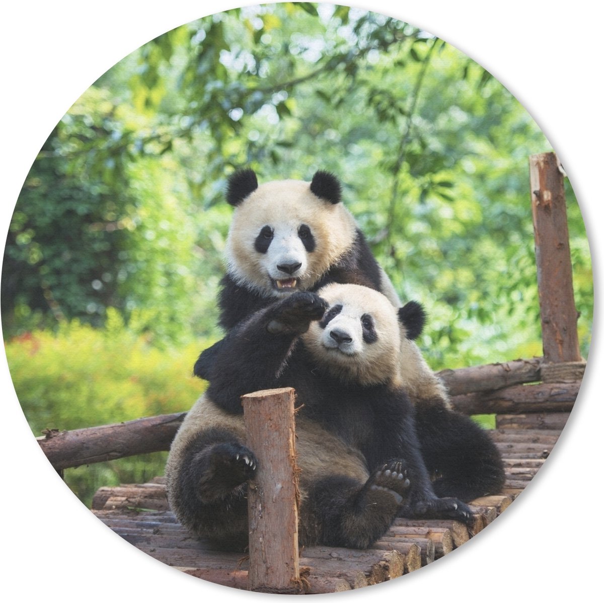 Muismat rond 30x30 cm - Mousepad Panda - Brug - Natuur - Ronde muismatten