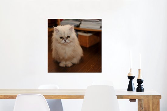 Mignon à la recherche de chat persan toile 50x50 cm - impression photo sur toile peinture (Décoration murale salon / chambre) / Animaux domestiques Peintures sur toile