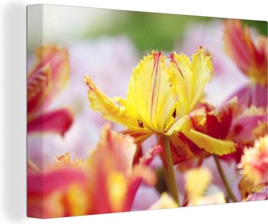 Close-up tulp Canvas 120x80 cm - Tirage photo sur toile (Décoration murale salon / chambre)