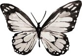 Roommates Muursticker Butterfly Junior 93 X 66,5 Cm Zwart/wit
