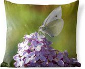 Buitenkussens - Tuin - Close-up van een koolwitje vlinder - 60x60 cm