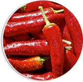 Forex Wandcirkel - Grote Rode Punt Paprika's - 20x20cm Foto op Wandcirkel (met ophangsysteem)