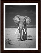 Foto in frame ,  Wandelende Olifant , 3 maten , Zwart wit , wanddecoratie , Premium print