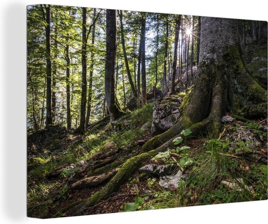 Canvas schilderij 140x90 cm - Wanddecoratie Doorbrekende zon in de bossen van het Oostenrijkse Nationaal park Kalkalpen - Muurdecoratie woonkamer - Slaapkamer decoratie - Kamer accessoires - Schilderijen