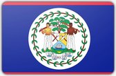 Vlag Belize - 70x100cm - Polyester