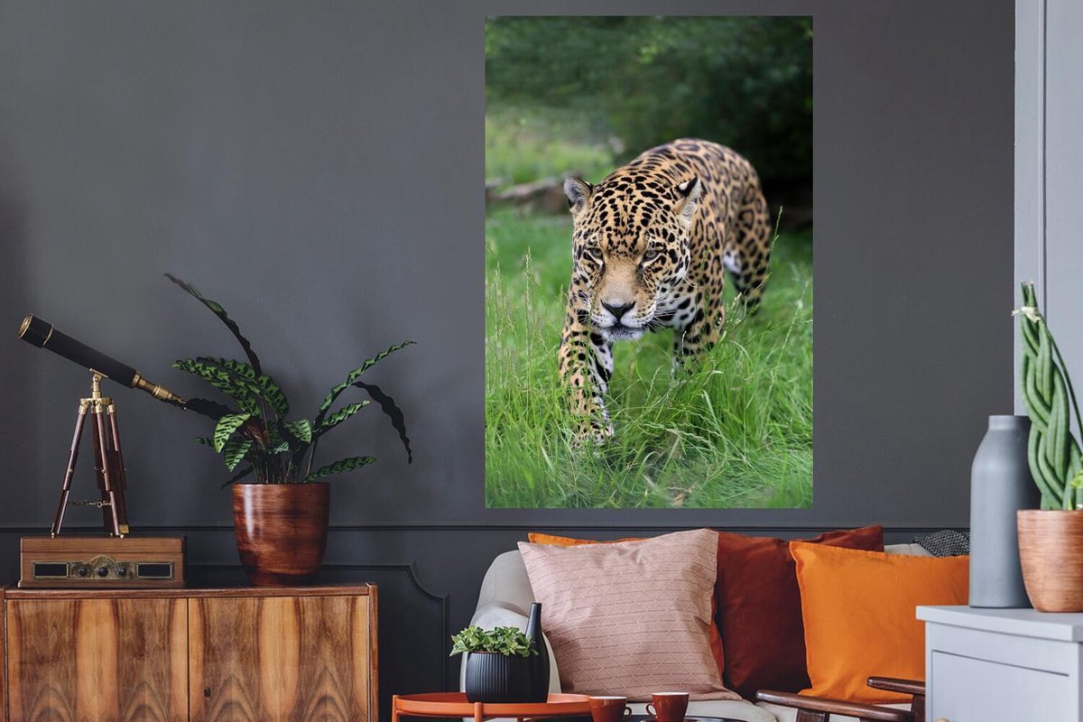 Sticker Muursticker Jaguars - jaguar dans les hautes herbes - 40x60 cm -  film adhésif
