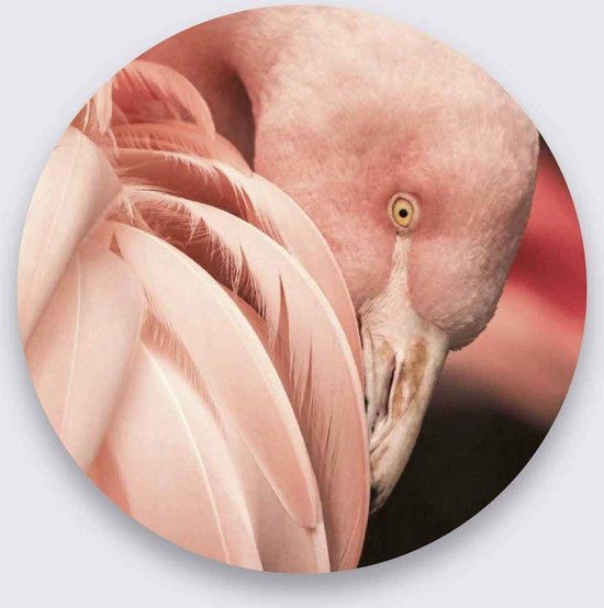 Schilderij - flamingo - Collectie Bright wings - Pure Metal - 30x30cm