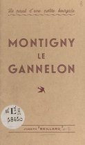Le passé d'une petite bourgade : Montigny le Gannelon