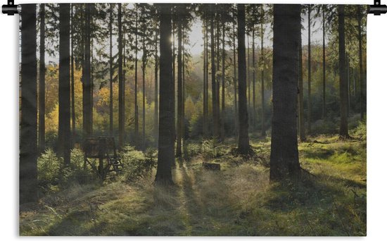 Tapestry Forest - Une zone boisée par temps ensoleillé. Tapisserie coton 150x100 cm - Tapisserie avec photo
