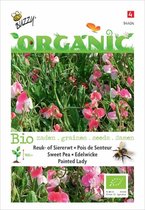 Buzzy® Organic Lathyrus, Reuk- of siererwt Painted Lady(BIO) - Biologisch bloemzaad voor Painted Lady reuk- of siererwten, een prachtige en geurige klimplant