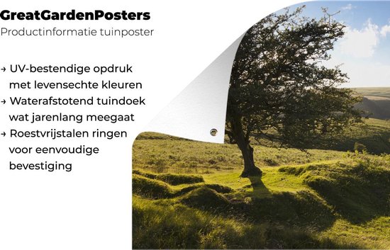 Arbre d'aubépine solitaire dans le parc national d'Exmoor en Angleterre Poster de jardin 180x120 cm - Toile de jardin / Peintures extérieur / Peintures d'extérieur (décoration de jardin) XXL / Groot format!