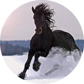 Muursticker Zwart paard in de sneeuw