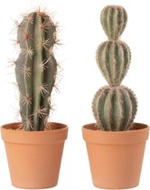 J-Line Cactus Pot Kunststof Grn/Terracotta Large Assortiment Van 2