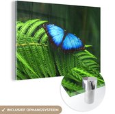 MuchoWow® Glasschilderij 90x60 cm - Schilderij acrylglas - Morpho vlinder - Foto op glas - Schilderijen