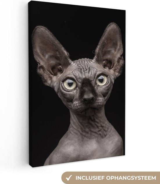 Schilderij kat - Grijs - Sphynx - Zwart - Katten schilderij - Foto op canvas schilderij - Wanddecoratie - 90x140 cm