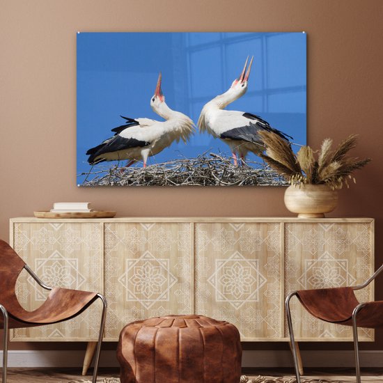 MuchoWow® Peinture sur verre 90x60 cm - Peinture sur verre acrylique - Belle image de deux cigognes dans leur nid - Photo sur verre - Peintures