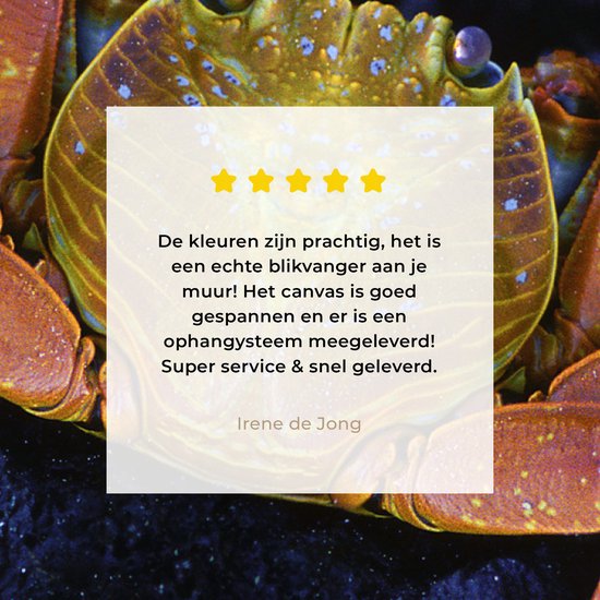 Canvas Schilderij Krab - Water - Dieren - 120x80 cm - Wanddecoratie