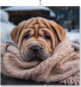 Tegel Met Opdruk | Geschenk | Hond In Mand Onder Fleecedeken | Sharpei