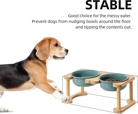 Beagle kijkt naar een hondenvoerbak met twee groene kommen op een houten standaard.