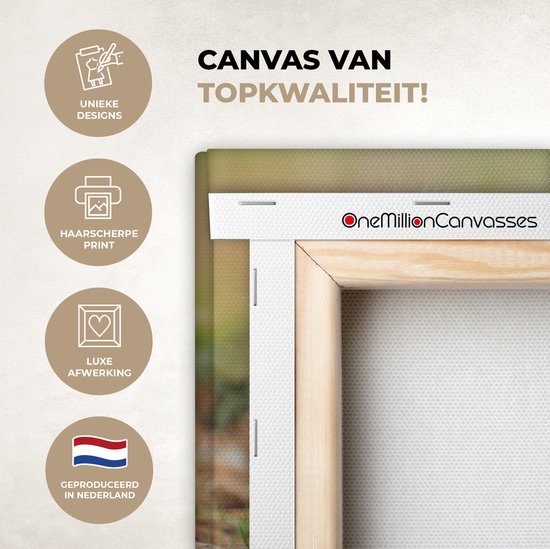 Tableau sur toile Écureuil avec cacahuète - 30x20 cm - Décoration murale