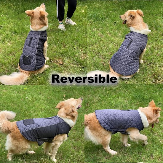 Etechydra Manteau imperméable pour chien, veste d'hiver réversible réglable  et
