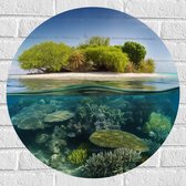 Muursticker Cirkel - Koraal - Oceaan - Zee - Eiland - 60x60 cm Foto op Muursticker