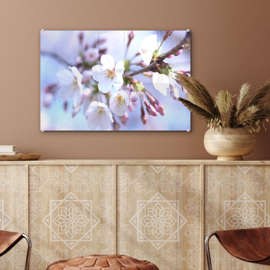 MuchoWow® Peinture sur verre 60x40 cm - Peinture sur verre acrylique - Fleurs - Sakura - Branche - Branches fleuries - Photo sur verre - Peintures